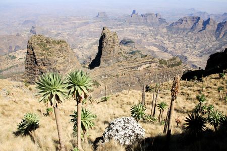 Ethiopie - Circuit Splendeurs de l'Ethiopie et Harar 