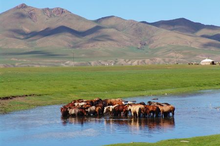 Mongolie - Circuit Splendeurs de Mongolie