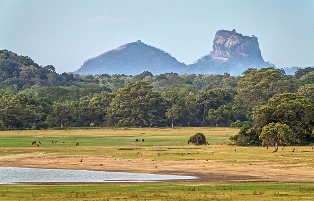 Sri Lanka - Circuit Splendeurs du Sri Lanka avec extension à Kalutara