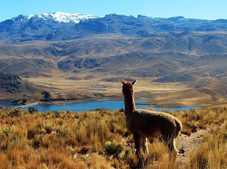 Pérou - Circuit Explorations du Pérou - Spécial Fête Inti Raymi
