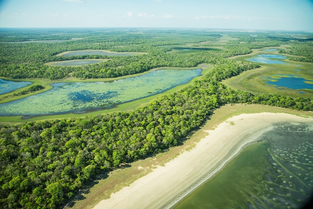 Pré-voyage Pantanal et Merveilles du Brésil 17J/14N - 2022 - 14