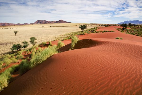 Namibie - Circuit Splendeurs de Namibie