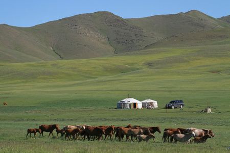 Mongolie - Circuit Immersion en Mongolie - Festival du Naadam