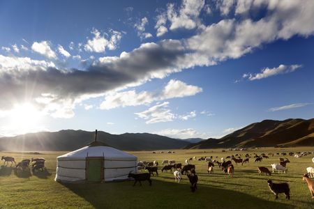 Mongolie - Circuit Immersion en Mongolie - Festival du Naadam