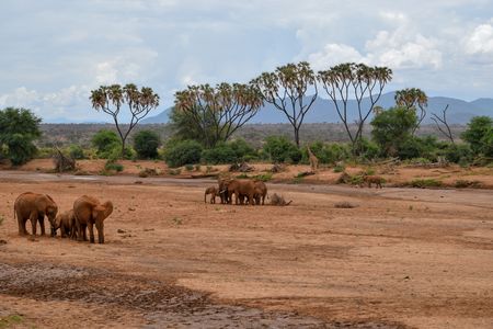 Kenya - Circuit Explorations du Kenya 100% Safari