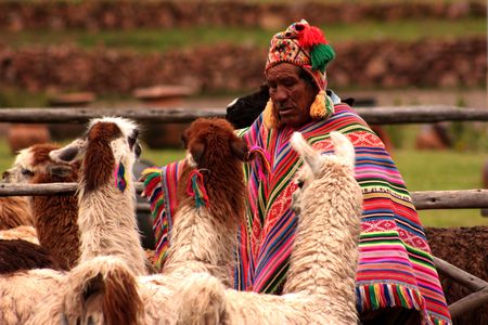 Douceurs au Pays des Incas & Extension Amazonie 14J/12N - 2023