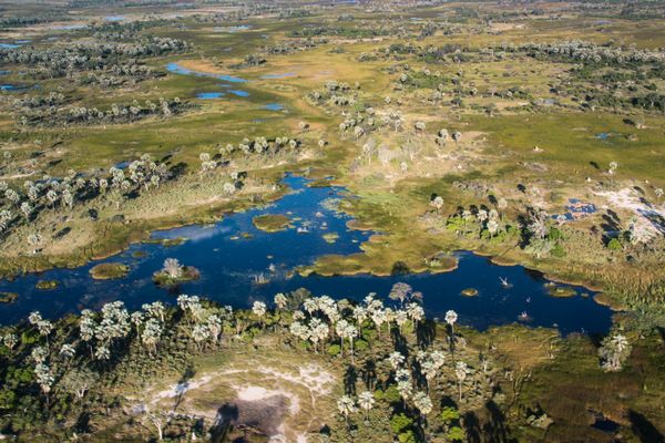 Botswana - Circuit Immersion au Botswana avec extension Chutes Victoria