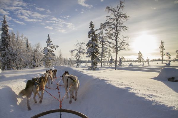 Finlande - Laponie - Rovaniemi - Circuit Splendeurs des Aurores Boréales et Igloo