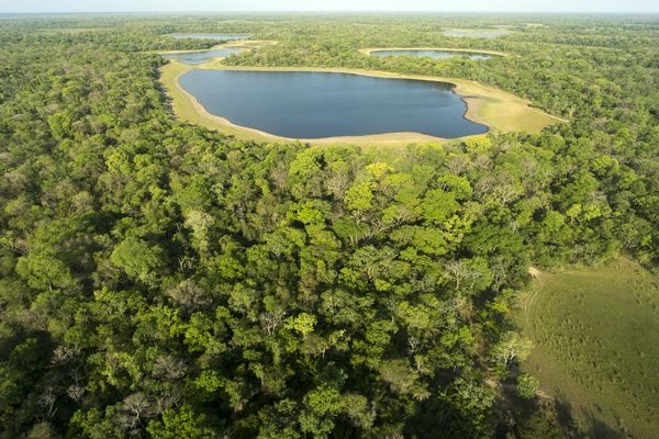 Merveilles du Brésil & Extension Pantanal 18J/15N - 2024