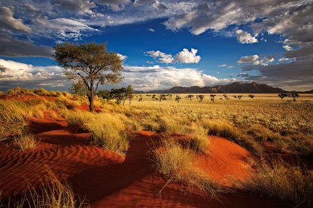 Namibie - Zimbabwe - Circuit Splendeurs de Namibie et extension Chutes Victoria