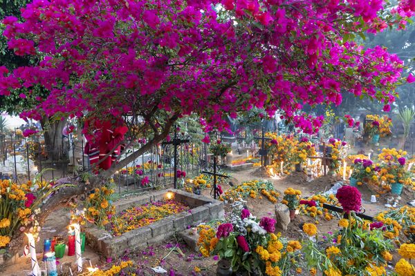 Merveilles du Mexique & Guatemala - Spécial Fête des Morts - 16J/14N - 2024