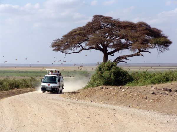 Kenya - Circuit Merveilles du Kenya Safari en véhicule 4X4 & extension Plage de Mombasa