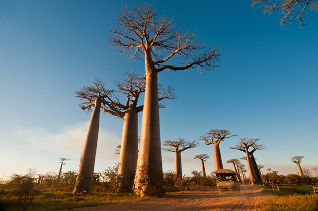 Madagascar - Circuit Splendeurs de Madagascar 