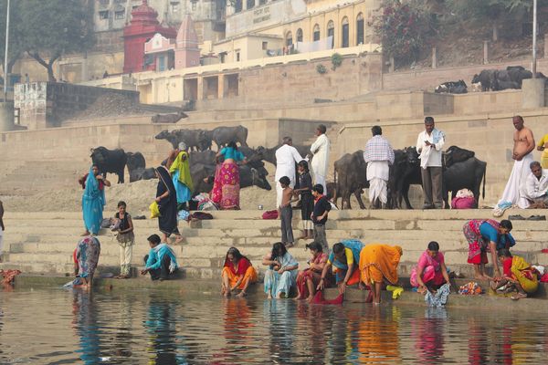 Inde - Inde du Nord et Rajasthan - Circuit Splendeurs de l'Inde du Nord - Spécial Fête de Pushkar et extension Sources du Gange