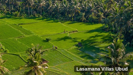 Combiné Ubud & Canggu 4*